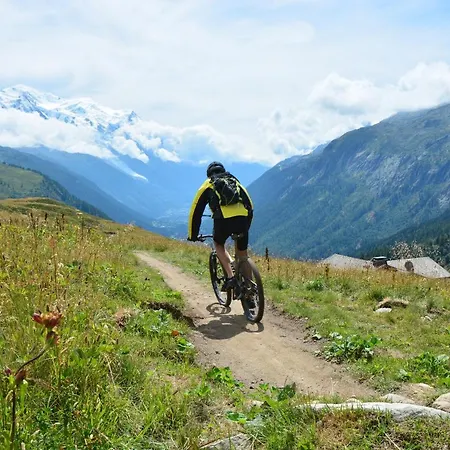 Grand Roc - Ancolies 027 - Happy